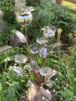 s. 3 Headed Poppy.jpg